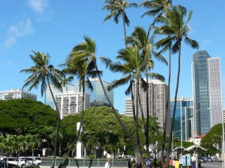 Les buildings du centre d'Honolulu