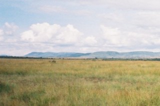 Les collines du Masa Mara