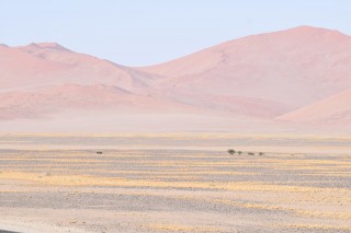 Les couleurs du désert