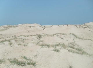 Les dunes de sable devant et derrière