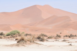 Les dunes du Namib