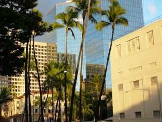 Les palmiers  l'ombre des buildings d'Honolulu