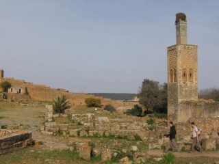Les ruines romaines de Sala Colonia