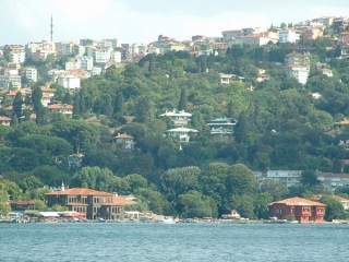 Les yalis de Cengelky