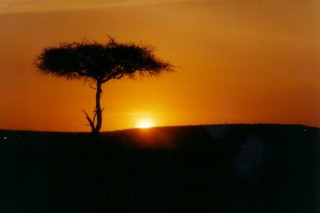 Lever de Soleil - Masai Mara
