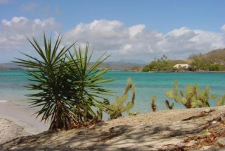 L'let Oscar vu de l'let Thierry