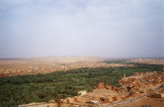 L'oasis de Tinerhir L'oasis de Tinerhir
