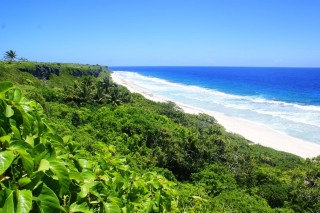 Longue plage sur l'le Henderson