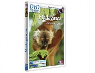 Madagascar, grandeur nature
