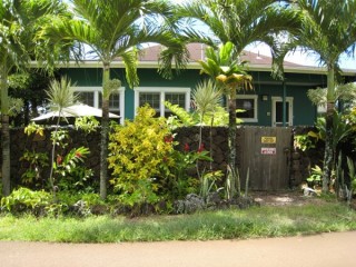 Maison typique hawaenne