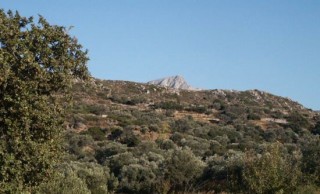Mont Zas et oliveraies