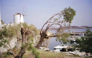 Parikia - moulin et port de pche