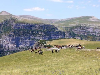 Paturages du Mont Perdu Paturages du Mont Perdu