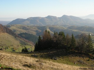 Paysage de Bran-Rucar, Monts Piatra Craiului