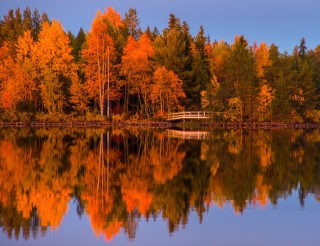 Paysage de Laponie en automne.
