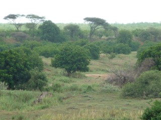 Paysages du Kruger