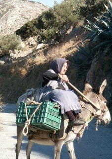 Paysanne sur son âne Paysanne sur son âne