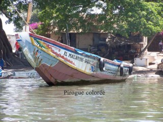 Pirogue