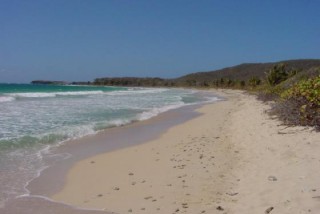 Plage de sable blanc