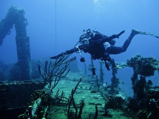 Plonge en Martinique (Les Anses d'Arlets)
