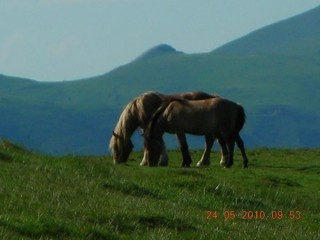 GR 10 - Pottocks en totale libert.