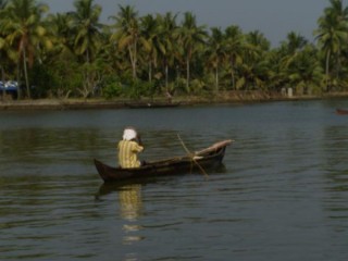 Promenade en bateau sur les backwaters