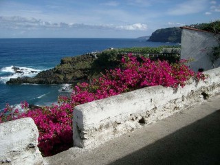 Puerto de la Cruz Bollullo