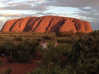 Rocher d'Uluru au coucher de soleil