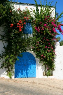 Rue colorées par les bougainvilliers Rue colorées par les bougainvilliers
