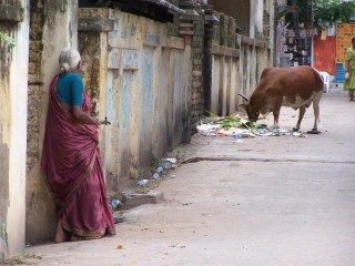 Solitude et contemplation. Mamallapuram
