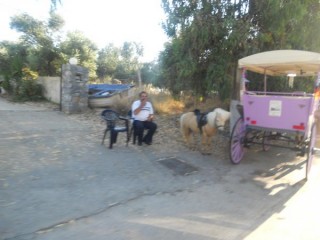 Sur le chemin de Panormos