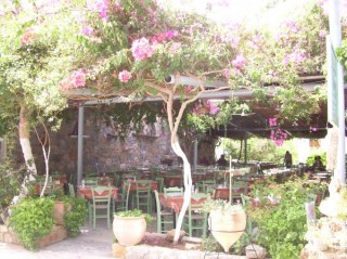 Taverne  Agia Roumeli