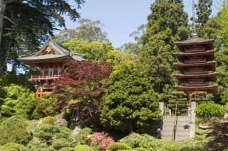 Temples japonais