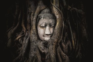T�te d'une statue de Bouddha