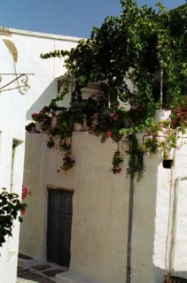 Toit en terrasse fleuri