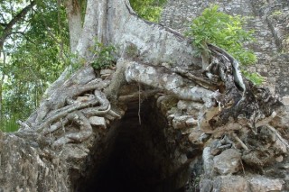 Tunnel en arc maya