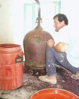 Tzikoudia (Ouzo) - Dimitris et son alambic