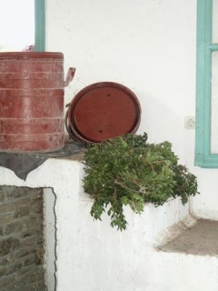 Tzikoudia (Ouzo) - Prparation