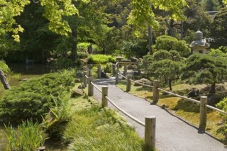 Une allée du jardin japonais