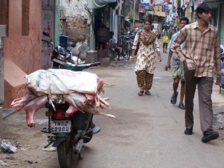 Viande fraiche... Madras