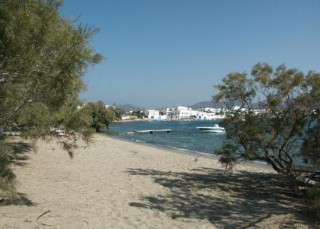 Vue partielle sur Pelecouda