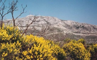 Vue sur Agioi Pantes au Printemps