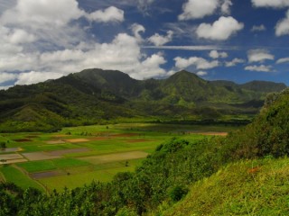 Vue sur le mont Waialeale