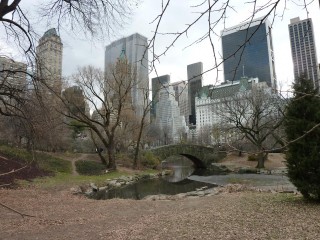  Central Park