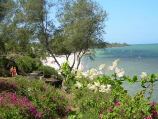 Un petit coin de paradis