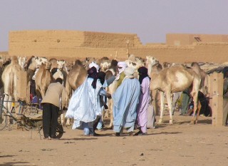Le march au btail d'Agadez