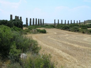 Aqueduc et ruines romaines de Layana (Aragon) Aqueduc et ruines romaines de Layana (Aragon)
