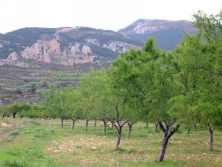 Photo du chteau de Loarre (Aragon)