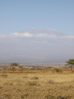 Au loin le kilimandjaro