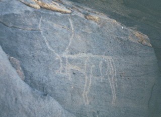 Gravures rupestres dans l'Ar
